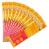 Passion Mango - Pack 10 saches de 45g